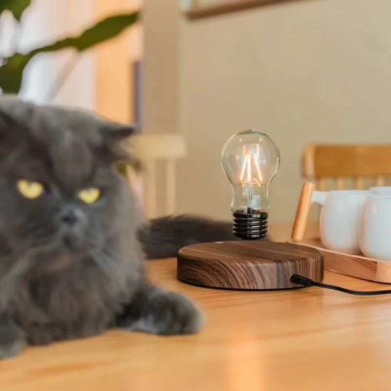 Magnetic Levitation Floating Glass LED Bulb