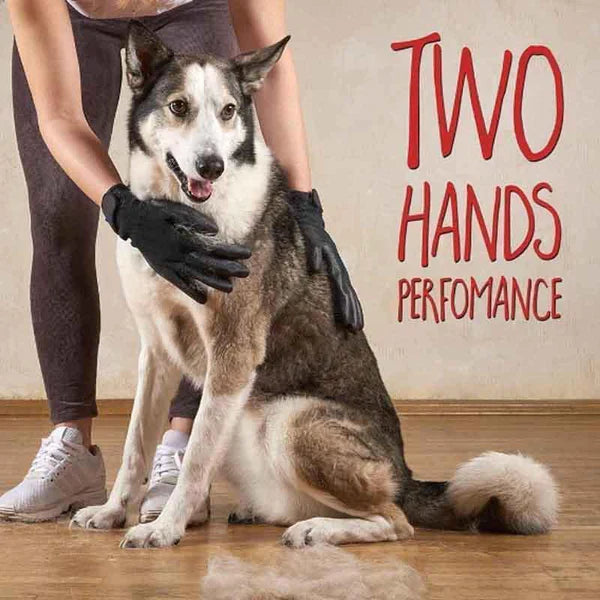 Gloves For Cats, Dogs & Horses (1 pair) from Odditygadget at $21.47