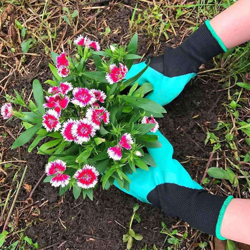 Garden gloves from Odditygadget at $18.97