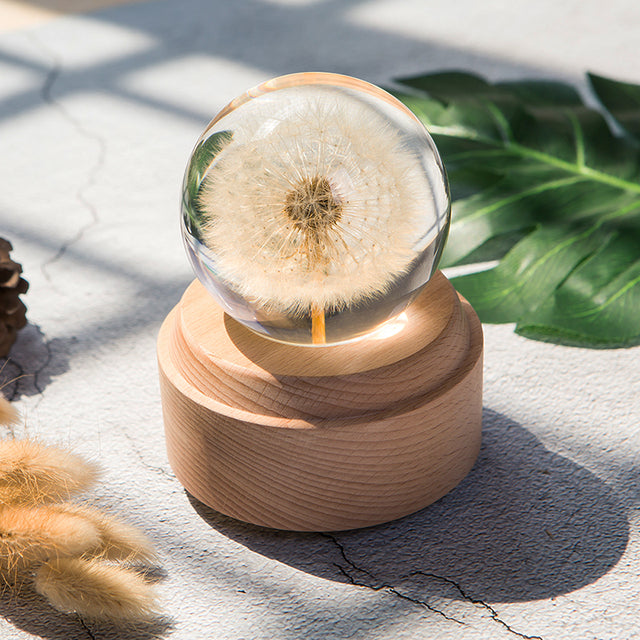 Dandelion Flower Crystal Glass Resin Ball from Odditygadget at $29.97