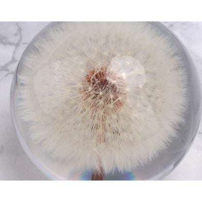 Dandelion Flower Crystal Glass Resin Ball from Odditygadget at $29.97