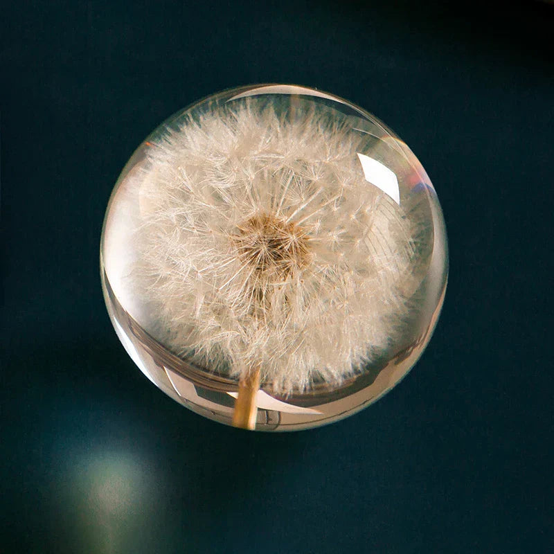 Dandelion Flower Crystal Glass Resin Ball from Odditygadget at $29.97