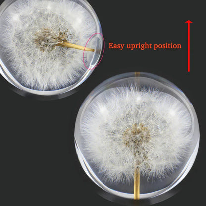 Dandelion Flower Crystal Glass Resin Ball from Odditygadget at $29.97