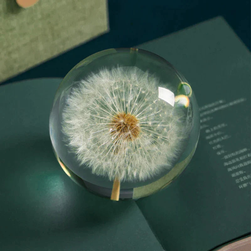 Dandelion Flower Crystal Glass Resin Ball from Odditygadget at $29.97