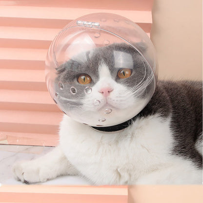 Anti Bite Hood For Cats from Odditygadget at $24.33