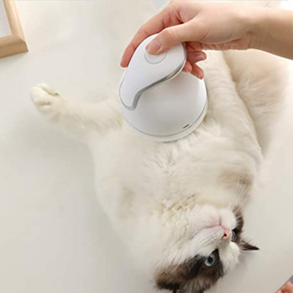 Electric Cat Head Massager from Odditygadget at $39.95