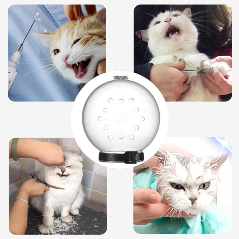 Anti Bite Hood For Cats from Odditygadget at $24.33