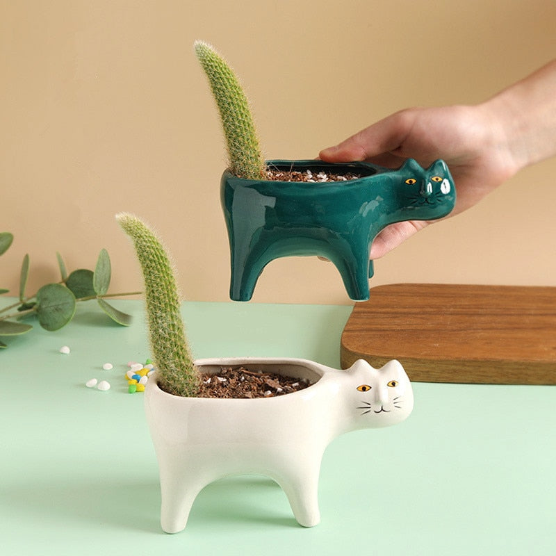 Cat Ceramic Pot from Odditygadget at $16.97