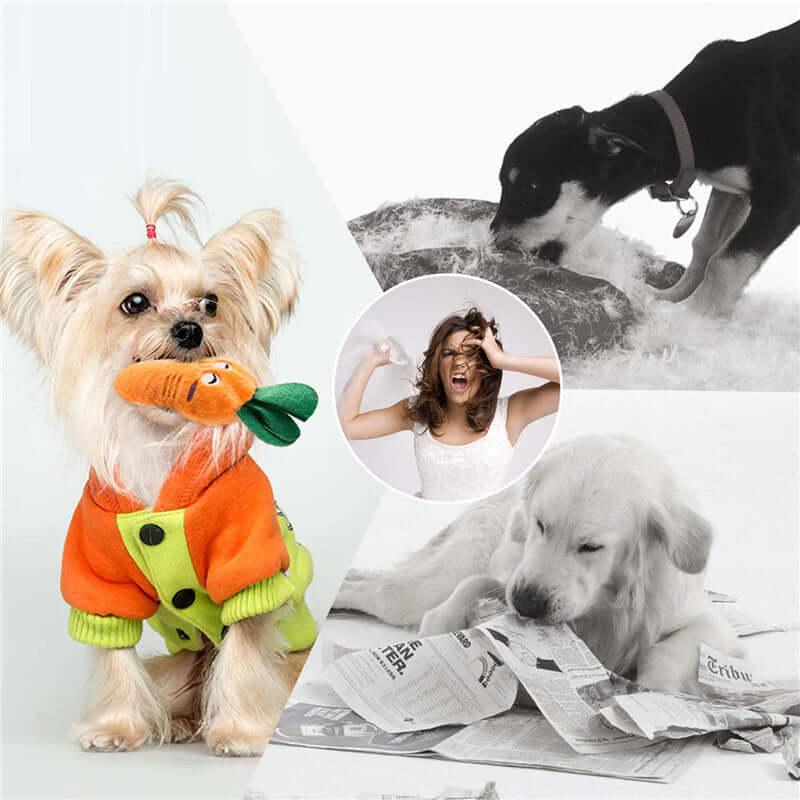 10/20/50 Pack Dog Squeaky Toys Plush Games Cute Plush Toys from Odditygadget at $24.99