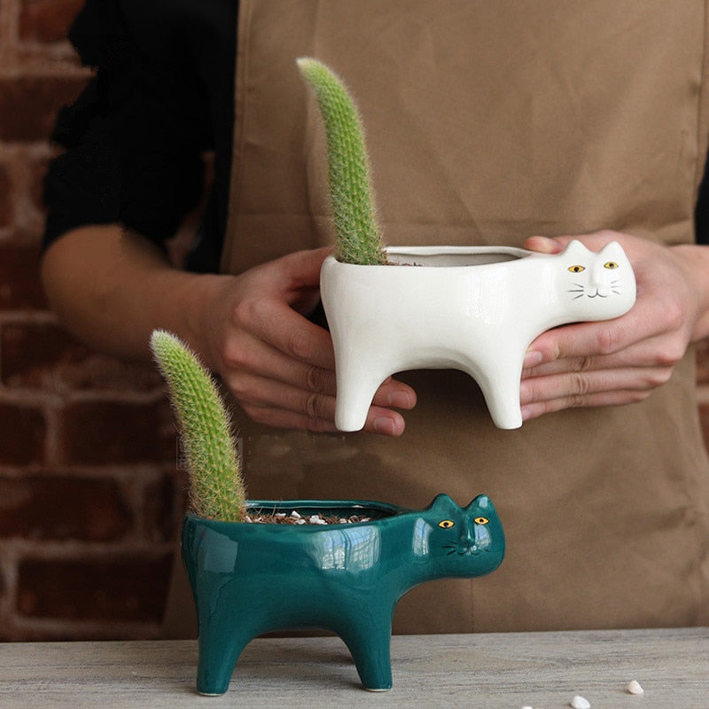 Cat Ceramic Pot from Odditygadget at $16.97