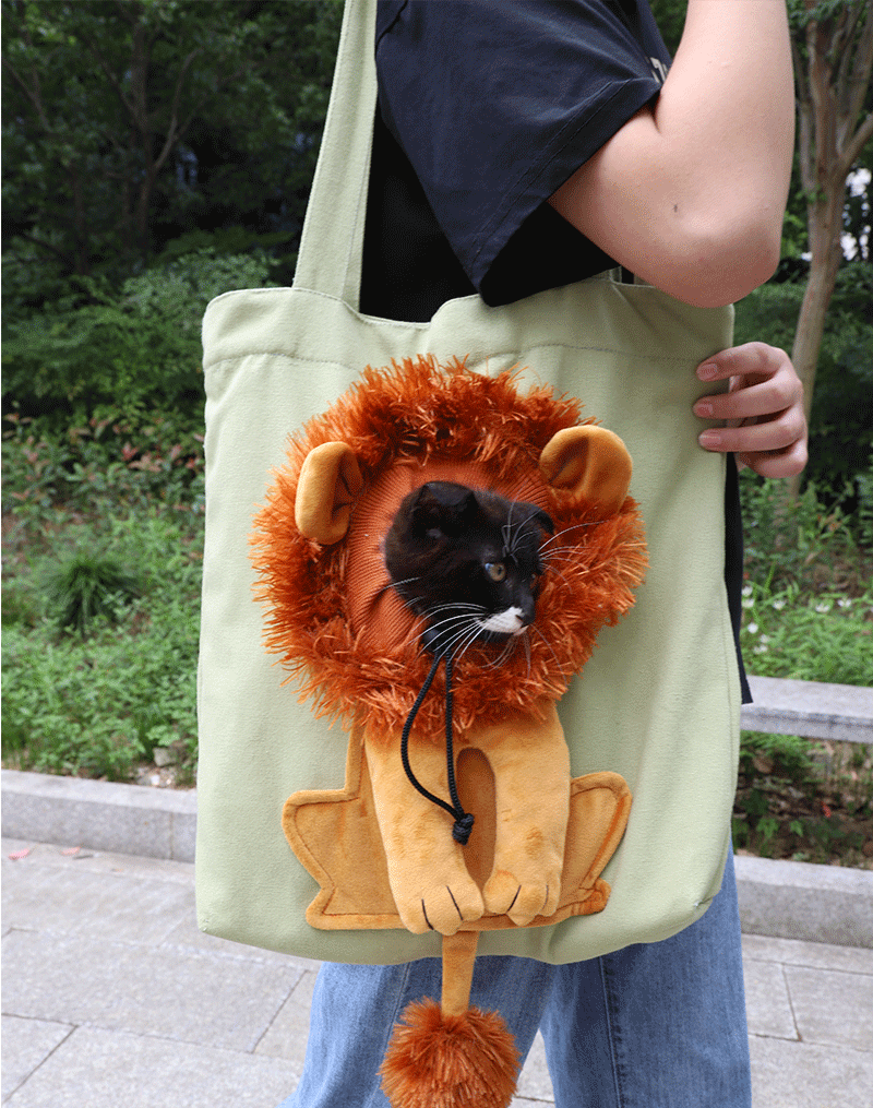 Exposed Head Lion Shape Pet Bag from Odditygadget at $24.97