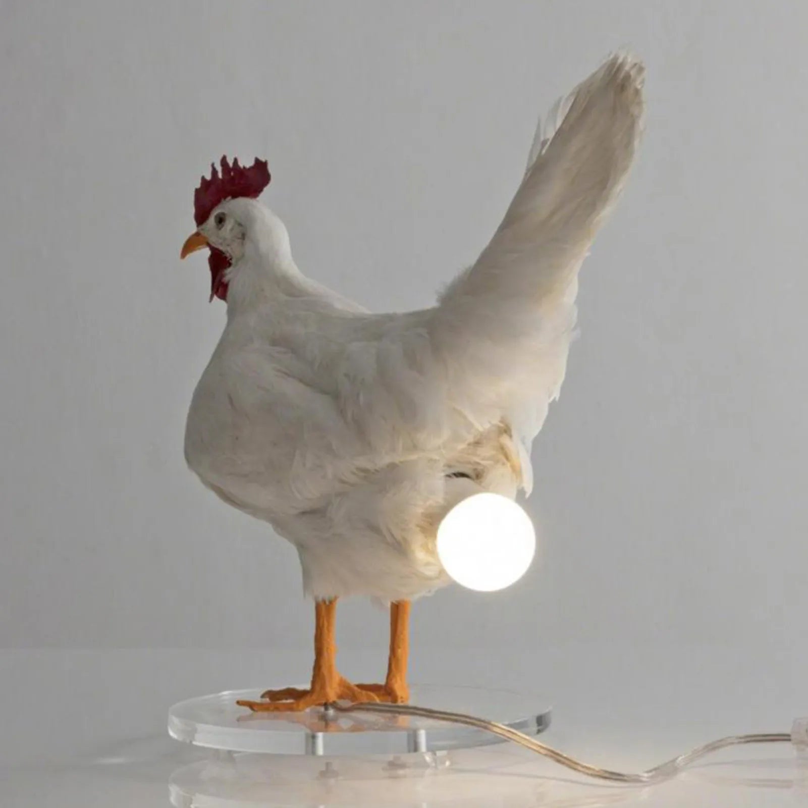 Chicken Egg Lamp from Odditygadget at $23.97