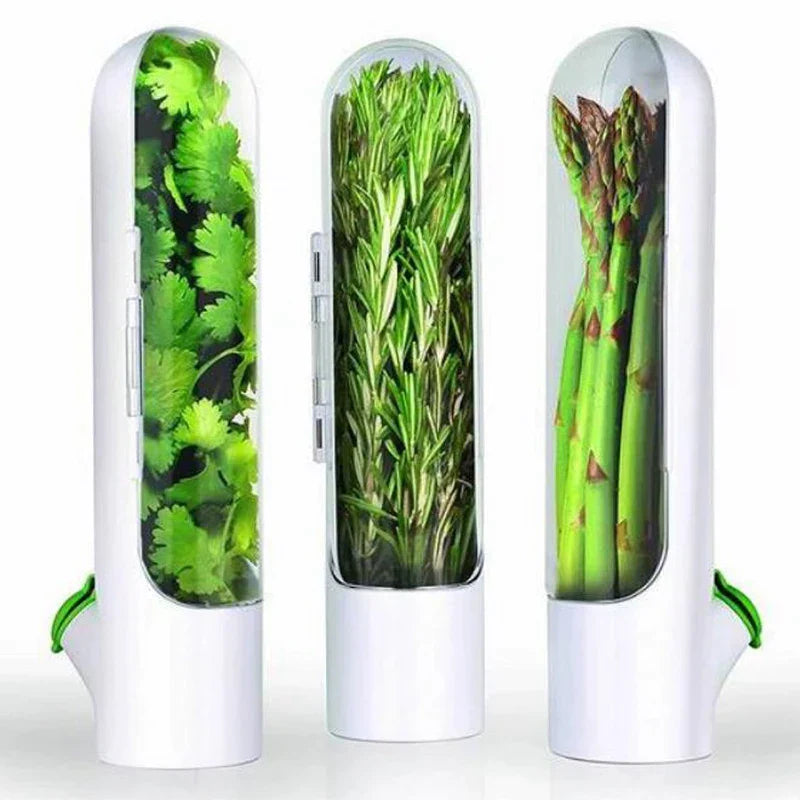 1 Pc Vegetable Preserving Bottle from Odditygadget at $14.97