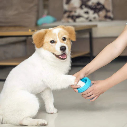 Pet Paw Cleaner from Odditygadget at $21.47