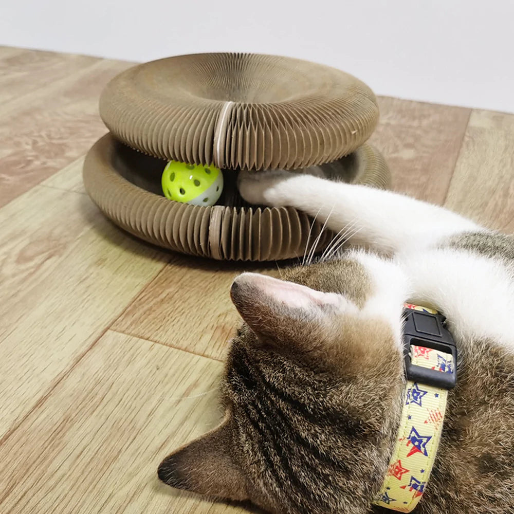 Magic Organ Cat Scratching Board-Comes with a toy bell ball and catnip from Odditygadget at $18.97